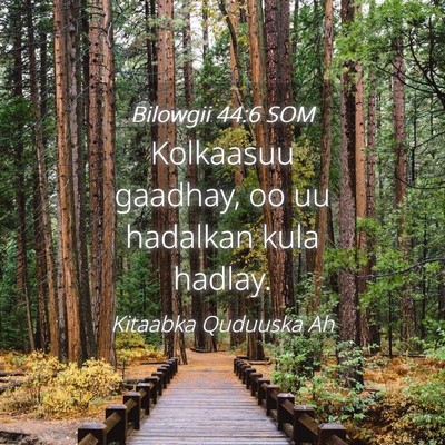 Picture 04 - Bilowgii 44:6 SOM - Kolkaasuu gaadhay, oo uu hadalkan kula - Bible Verse Picture