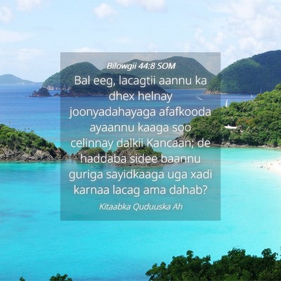 Picture 04 - Bilowgii 44:8 SOM - Bal eeg, lacagtii aannu ka dhex helnay - Bible Verse Picture