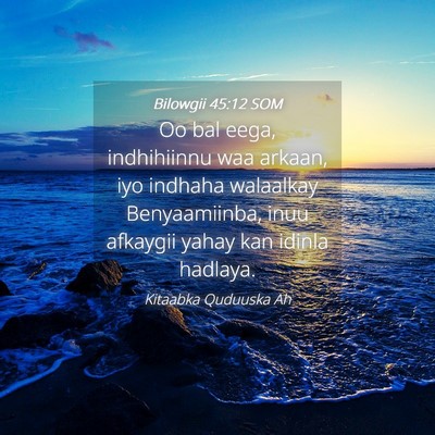 Picture 04 - Bilowgii 45:12 SOM - Oo bal eega, indhihiinnu waa arkaan, iyo indhaha - Bible Verse Picture