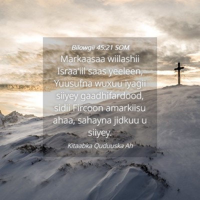 Picture 04 - Bilowgii 45:21 SOM - Markaasaa wiilashii Israa'iil saas yeeleen, - Bible Verse Picture