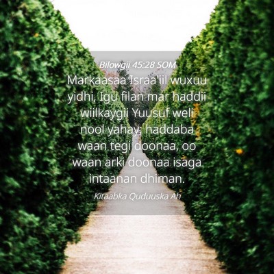 Picture 04 - Bilowgii 45:28 SOM - Markaasaa Israa'iil wuxuu yidhi, Igu filan mar - Bible Verse Picture