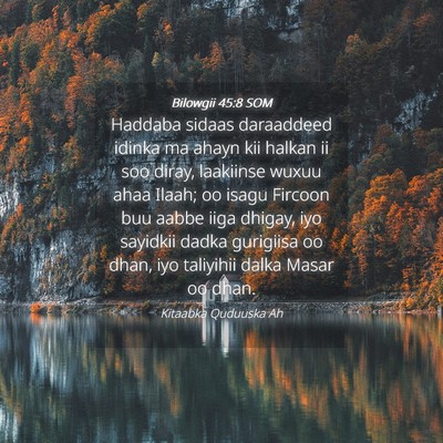 Picture 04 - Bilowgii 45:8 SOM - Haddaba sidaas daraaddeed idinka ma ahayn kii - Bible Verse Picture