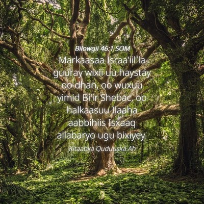 Picture 04 - Bilowgii 46:1 SOM - Markaasaa Israa'iil la guuray wixii uu haystay oo - Bible Verse Picture
