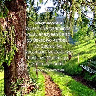 Picture 04 - Bilowgii 46:21 SOM - Wiilashii Benyaamiinna waxay ahaayeen Belac, iyo - Bible Verse Picture