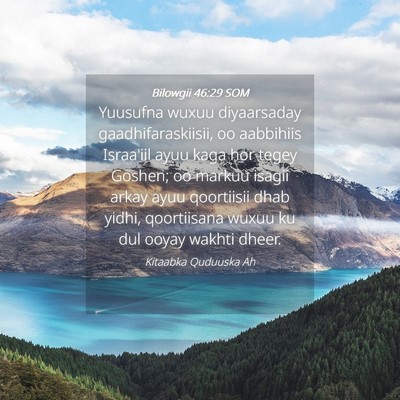 Picture 04 - Bilowgii 46:29 SOM - Yuusufna wuxuu diyaarsaday gaadhifaraskiisii, oo - Bible Verse Picture