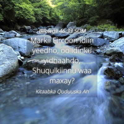 Picture 04 - Bilowgii 46:33 SOM - Markii Fircoon idiin yeedho, oo idinku yidhaahdo, - Bible Verse Picture