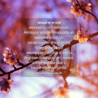 Picture 04 - Bilowgii 46:34 SOM - waxaad ku tidhaahdaan, Annagoo addoommadaada ah - Bible Verse Picture