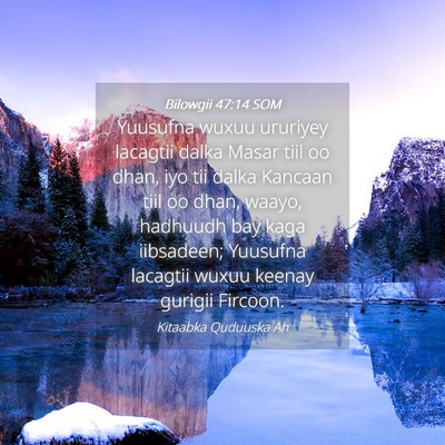 Picture 04 - Bilowgii 47:14 SOM - Yuusufna wuxuu ururiyey lacagtii dalka Masar tiil - Bible Verse Picture