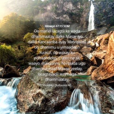 Picture 04 - Bilowgii 47:15 SOM - Oo markii lacagtii ka wada dhammaatay dalkii - Bible Verse Picture