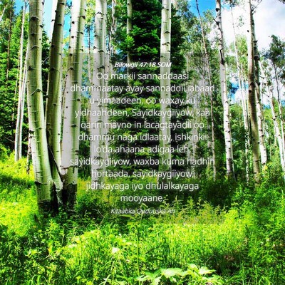 Picture 04 - Bilowgii 47:18 SOM - Oo markii sannaddaasi dhammaatay ayay sannaddii - Bible Verse Picture