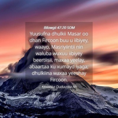 Picture 04 - Bilowgii 47:20 SOM - Yuusufna dhulkii Masar oo dhan Fircoon buu u - Bible Verse Picture