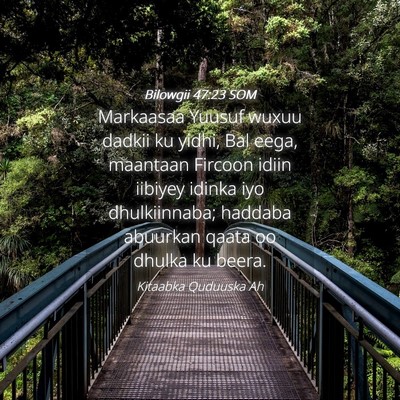Picture 04 - Bilowgii 47:23 SOM - Markaasaa Yuusuf wuxuu dadkii ku yidhi, Bal eega, - Bible Verse Picture