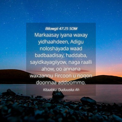Picture 04 - Bilowgii 47:25 SOM - Markaasay iyana waxay yidhaahdeen, Adigu - Bible Verse Picture