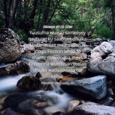 Picture 04 - Bilowgii 47:26 SOM - Yuusufna wuxuu sameeyey qaynuun ku saabsan dhulka - Bible Verse Picture