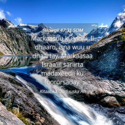 Picture 04 - Bilowgii 47:31 SOM - Markaasuu ku yidhi, Ii dhaaro, isna wuu u - Bible Verse Picture