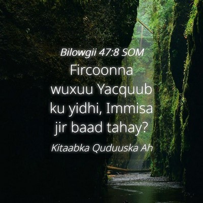 Picture 04 - Bilowgii 47:8 SOM - Fircoonna wuxuu Yacquub ku yidhi, Immisa jir baad - Bible Verse Picture