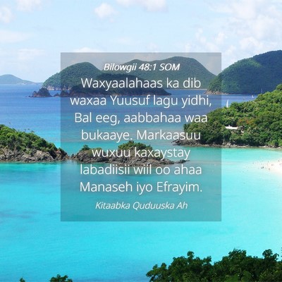 Picture 04 - Bilowgii 48:1 SOM - Waxyaalahaas ka dib waxaa Yuusuf lagu yidhi, Bal - Bible Verse Picture