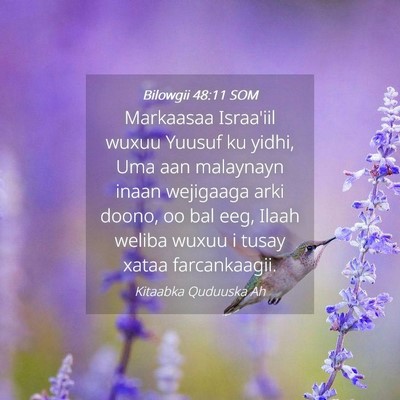 Picture 04 - Bilowgii 48:11 SOM - Markaasaa Israa'iil wuxuu Yuusuf ku yidhi, Uma - Bible Verse Picture