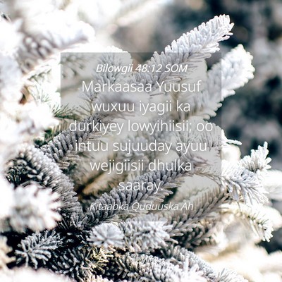 Picture 04 - Bilowgii 48:12 SOM - Markaasaa Yuusuf wuxuu iyagii ka durkiyey - Bible Verse Picture