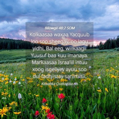 Picture 04 - Bilowgii 48:2 SOM - Kolkaasaa waxaa Yacquub loo soo sheegay, oo lagu - Bible Verse Picture