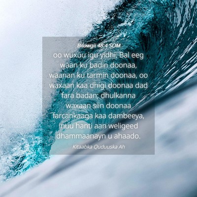Picture 04 - Bilowgii 48:4 SOM - oo wuxuu igu yidhi, Bal eeg waan ku badin doonaa, - Bible Verse Picture
