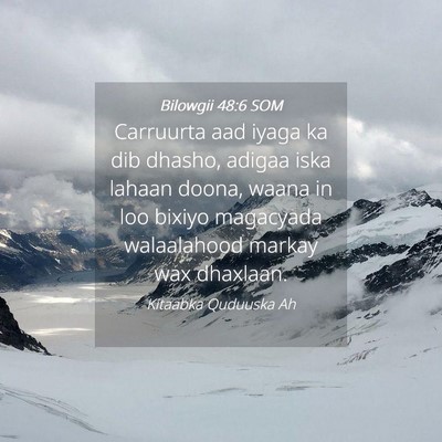 Picture 04 - Bilowgii 48:6 SOM - Carruurta aad iyaga ka dib dhasho, adigaa iska - Bible Verse Picture