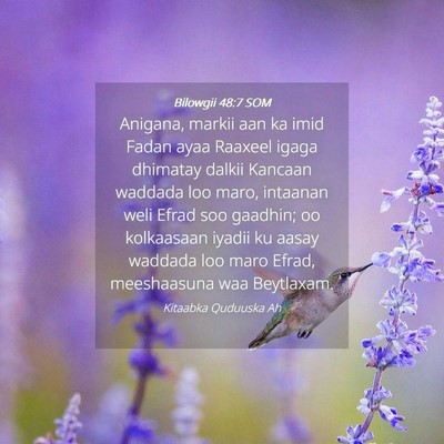 Picture 04 - Bilowgii 48:7 SOM - Anigana, markii aan ka imid Fadan ayaa Raaxeel - Bible Verse Picture