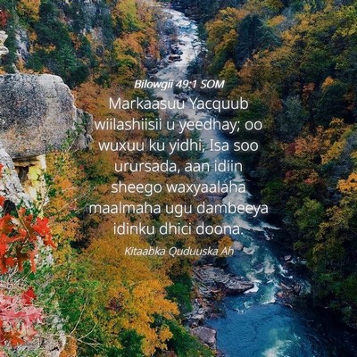 Picture 04 - Bilowgii 49:1 SOM - Markaasuu Yacquub wiilashiisii u yeedhay; oo - Bible Verse Picture
