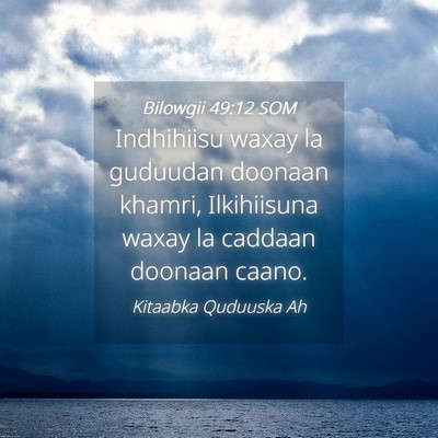 Picture 04 - Bilowgii 49:12 SOM - Indhihiisu waxay la guduudan doonaan khamri, - Bible Verse Picture