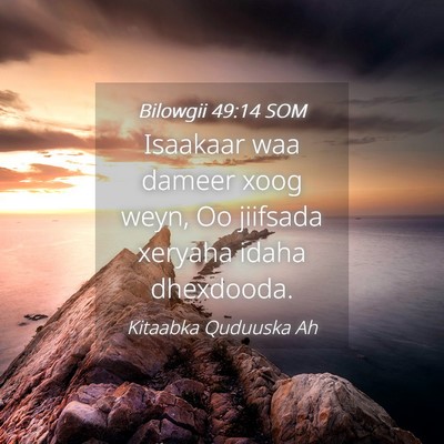 Picture 04 - Bilowgii 49:14 SOM - Isaakaar waa dameer xoog weyn, Oo jiifsada - Bible Verse Picture