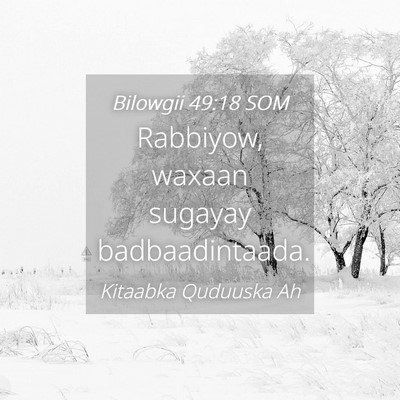 Picture 04 - Bilowgii 49:18 SOM - Rabbiyow, waxaan sugayay - Bible Verse Picture