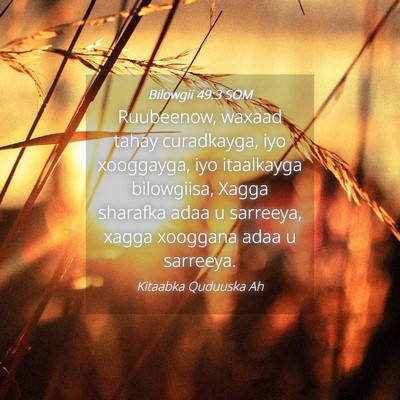 Picture 04 - Bilowgii 49:3 SOM - Ruubeenow, waxaad tahay curadkayga, iyo - Bible Verse Picture