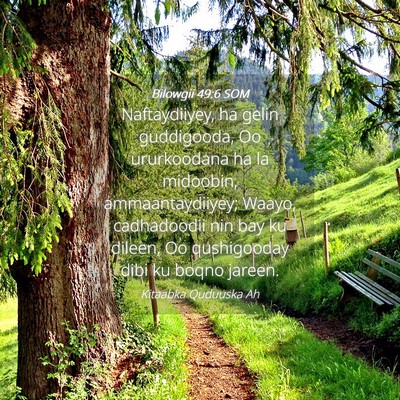 Picture 04 - Bilowgii 49:6 SOM - Naftaydiiyey, ha gelin guddigooda, Oo ururkoodana - Bible Verse Picture