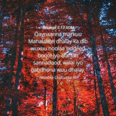 Picture 04 - Bilowgii 5:13 SOM - Qaynaanna markuu Mahalale'el dhalay ka dib wuxuu - Bible Verse Picture