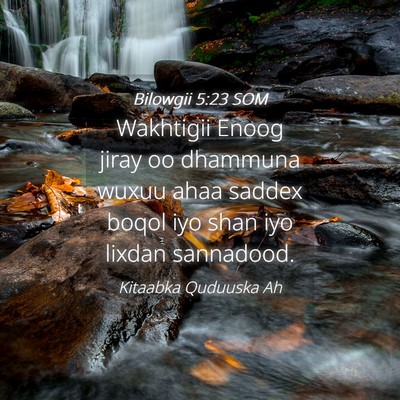 Picture 04 - Bilowgii 5:23 SOM - Wakhtigii Enoog jiray oo dhammuna wuxuu ahaa - Bible Verse Picture