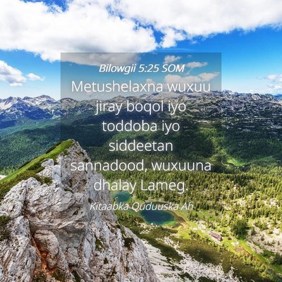 Picture 04 - Bilowgii 5:25 SOM - Metushelaxna wuxuu jiray boqol iyo toddoba iyo - Bible Verse Picture