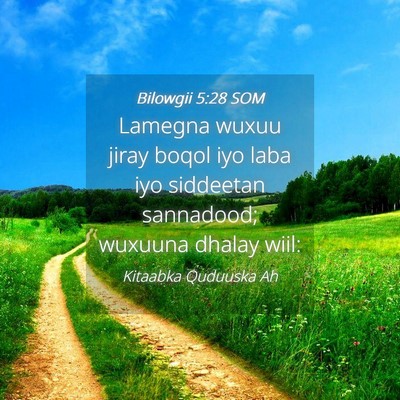 Picture 04 - Bilowgii 5:28 SOM - Lamegna wuxuu jiray boqol iyo laba iyo siddeetan - Bible Verse Picture