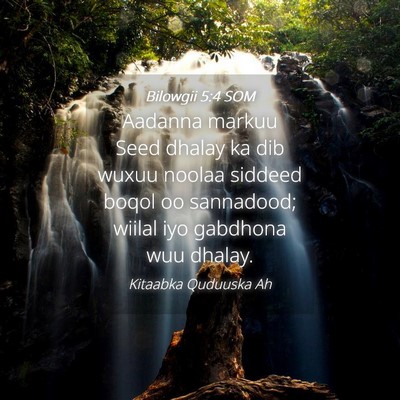 Picture 04 - Bilowgii 5:4 SOM - Aadanna markuu Seed dhalay ka dib wuxuu noolaa - Bible Verse Picture