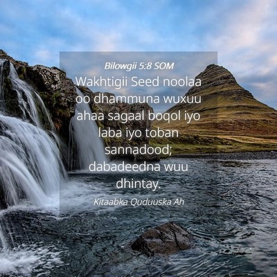 Picture 04 - Bilowgii 5:8 SOM - Wakhtigii Seed noolaa oo dhammuna wuxuu ahaa - Bible Verse Picture
