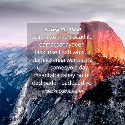 Picture 04 - Bilowgii 50:20 SOM - Idinku xumaan baad ila damacsanaydeen, laakiinse - Bible Verse Picture