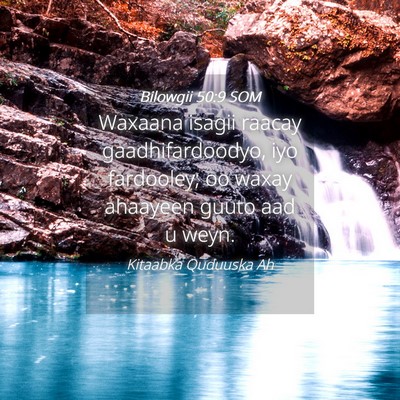 Picture 04 - Bilowgii 50:9 SOM - Waxaana isagii raacay gaadhifardoodyo, iyo - Bible Verse Picture