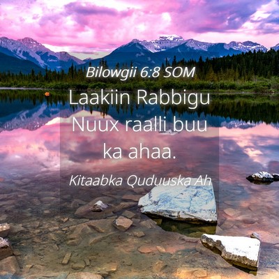 Picture 04 - Bilowgii 6:8 SOM - Laakiin Rabbigu Nuux raalli buu ka - Bible Verse Picture