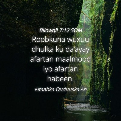 Picture 04 - Bilowgii 7:12 SOM - Roobkuna wuxuu dhulka ku da'ayay afartan maalmood - Bible Verse Picture