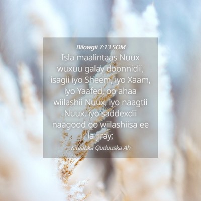 Picture 04 - Bilowgii 7:13 SOM - Isla maalintaas Nuux wuxuu galay doonnidii, - Bible Verse Picture