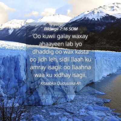 Picture 04 - Bilowgii 7:16 SOM - Oo kuwii galay waxay ahaayeen lab iyo dhaddig oo - Bible Verse Picture