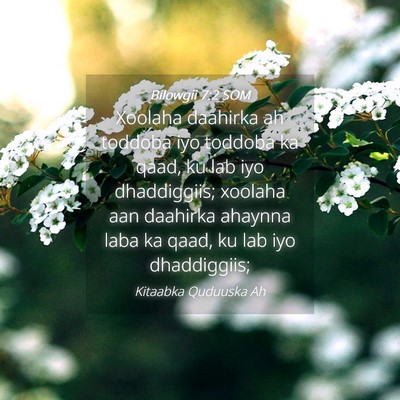 Picture 04 - Bilowgii 7:2 SOM - Xoolaha daahirka ah toddoba iyo toddoba ka qaad, - Bible Verse Picture