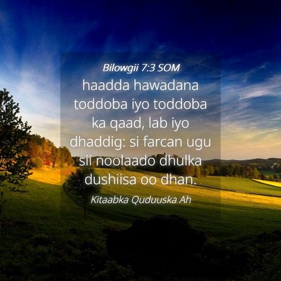 Picture 04 - Bilowgii 7:3 SOM - haadda hawadana toddoba iyo toddoba ka qaad, lab - Bible Verse Picture