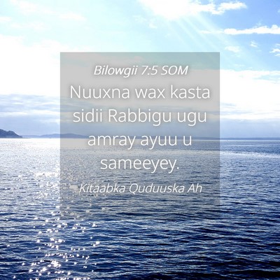 Picture 04 - Bilowgii 7:5 SOM - Nuuxna wax kasta sidii Rabbigu ugu amray ayuu u - Bible Verse Picture
