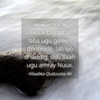 Picture 04 - Bilowgii 7:9 SOM - Nuux bay laba laba ugu galeen doonnidii, lab iyo - Bible Verse Picture