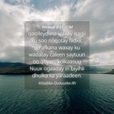 Picture 04 - Bilowgii 8:11 SOM - qoolleydiina waxay isagii ku soo noqotay fiidkii; - Bible Verse Picture